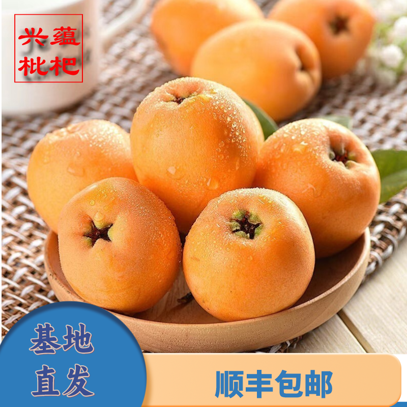 【顺丰包邮】云南楚雄大五星土枇杷蒙自新鲜应季鲜果酸甜可口现摘