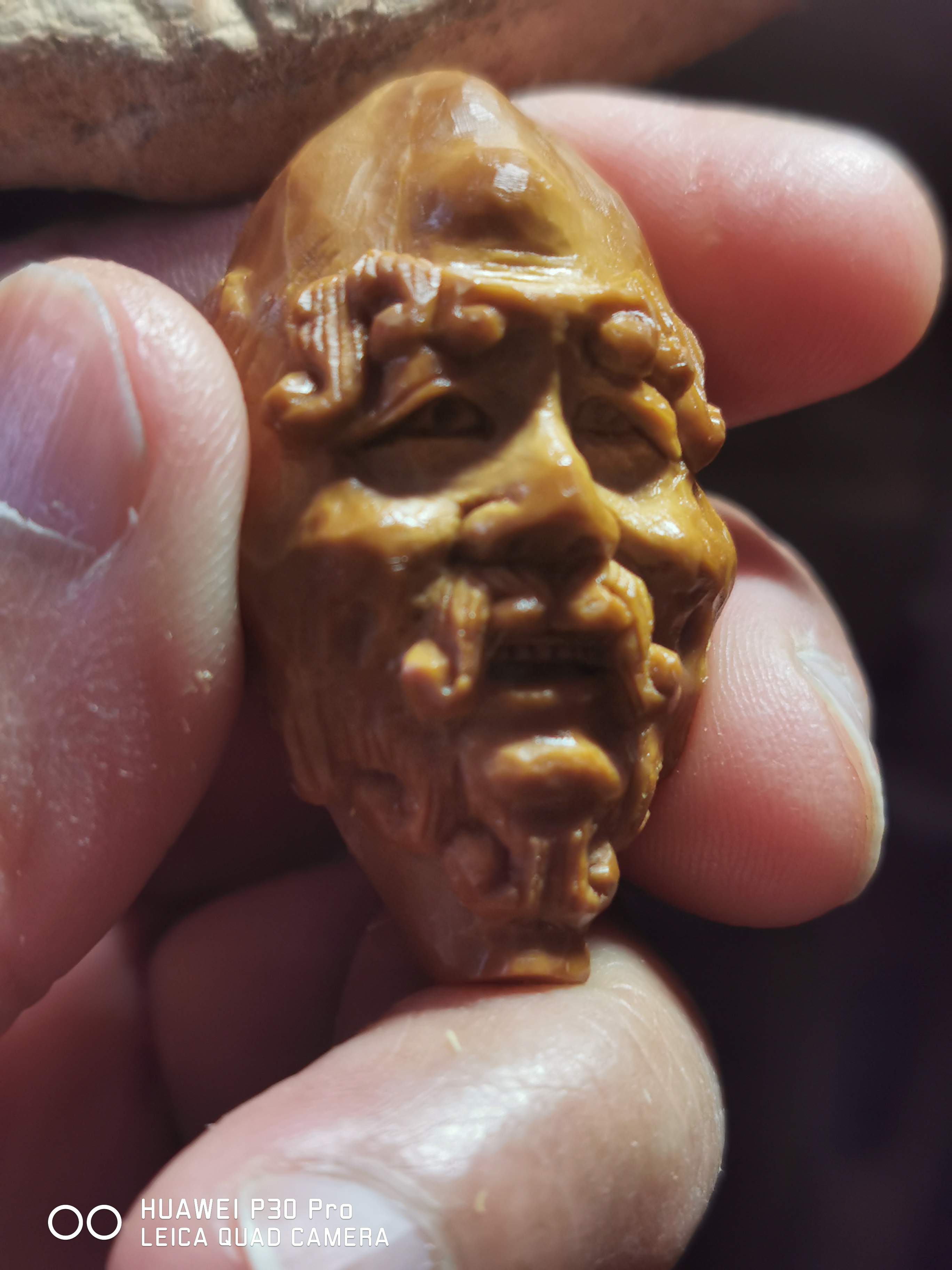 须派卷胡须罗汉头单籽