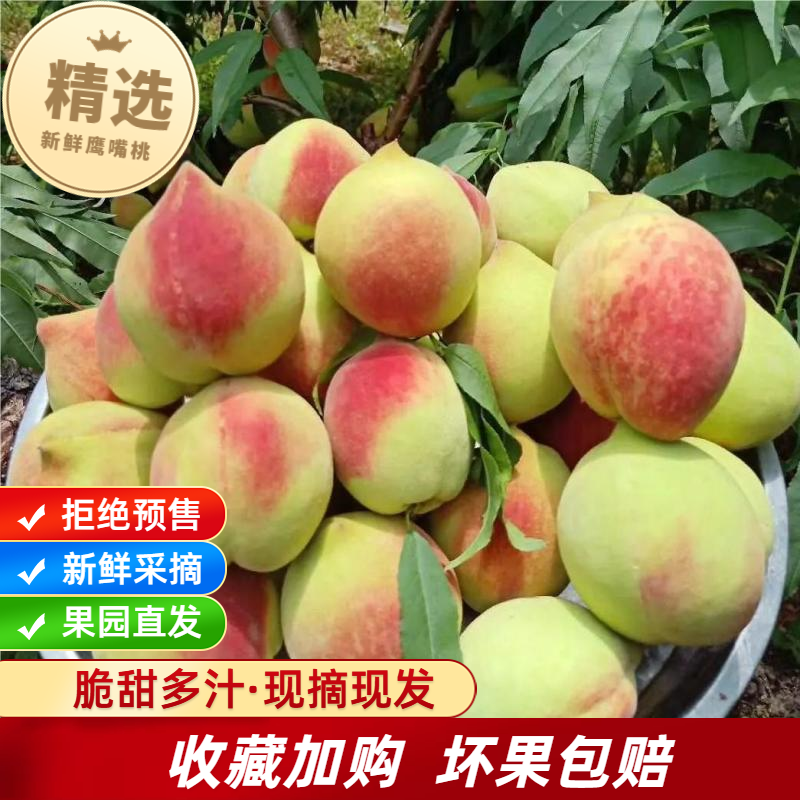 粤北九峰山连平正宗鹰嘴桃5斤精品大果当季新鲜水果脆桃京东包邮