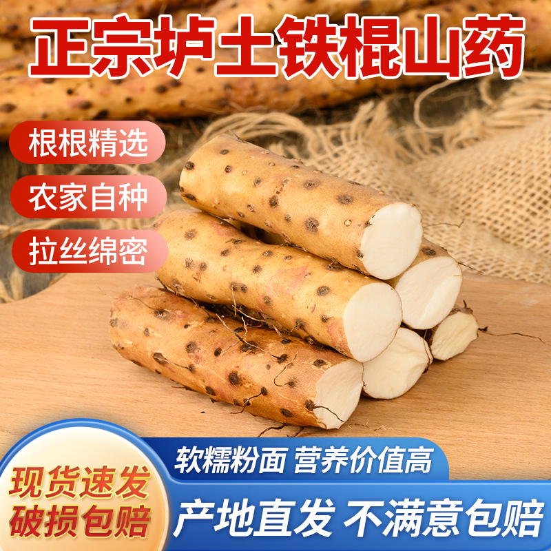 河南焦作温县垆土铁棍山药 新鲜营养3斤装/5斤装/10斤装