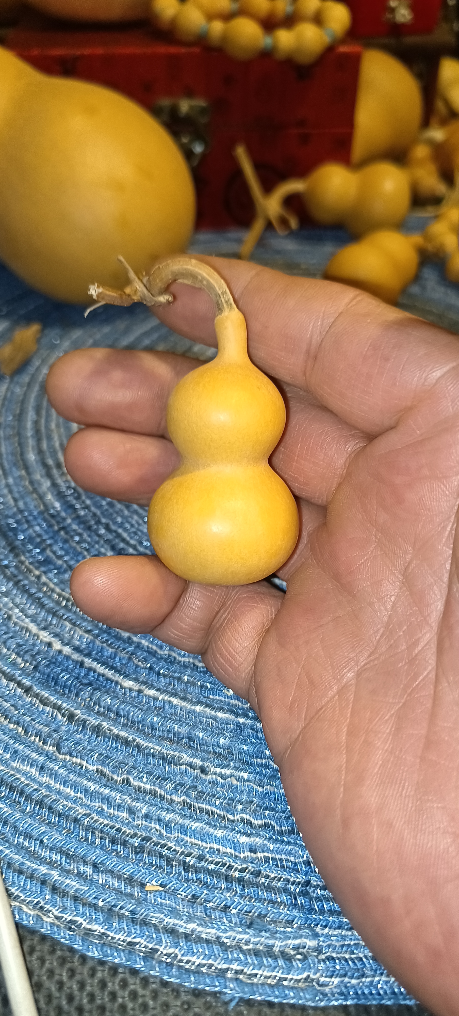 天然文玩葫芦直播间专用链接（一物一拍）