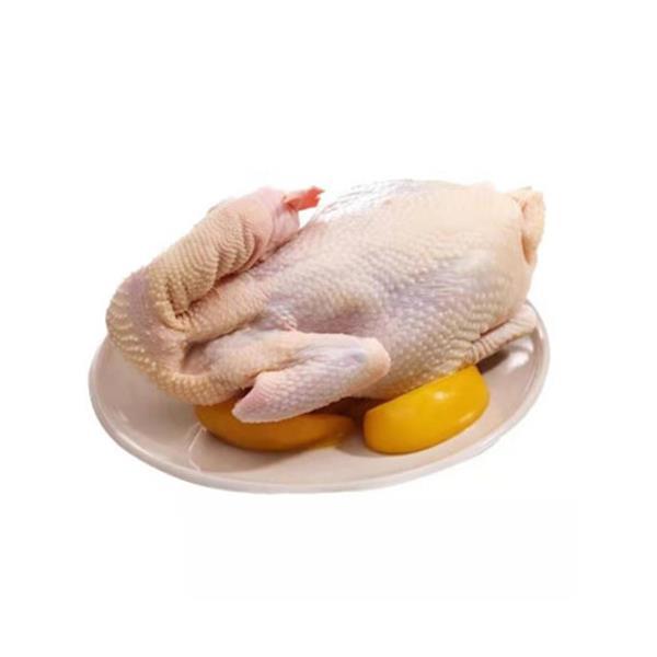 大公鸡约2.2KG