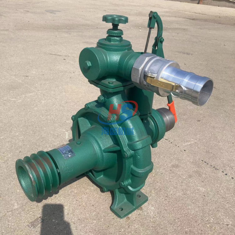 高压喷灌泵260型进水口4寸出水口3寸扬程100米农田喷灌滴灌