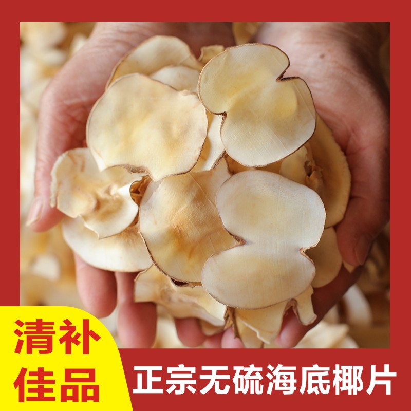 海底椰黄色浓香原味干片肺呼吸煲汤料清热润甜品高品质佳品晒干