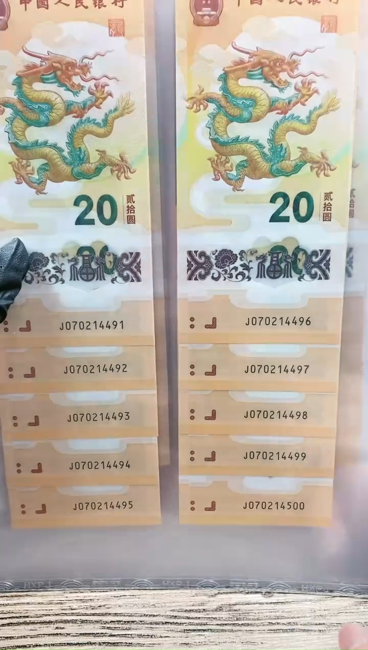 【闪购商品】其他2024标十龙钞