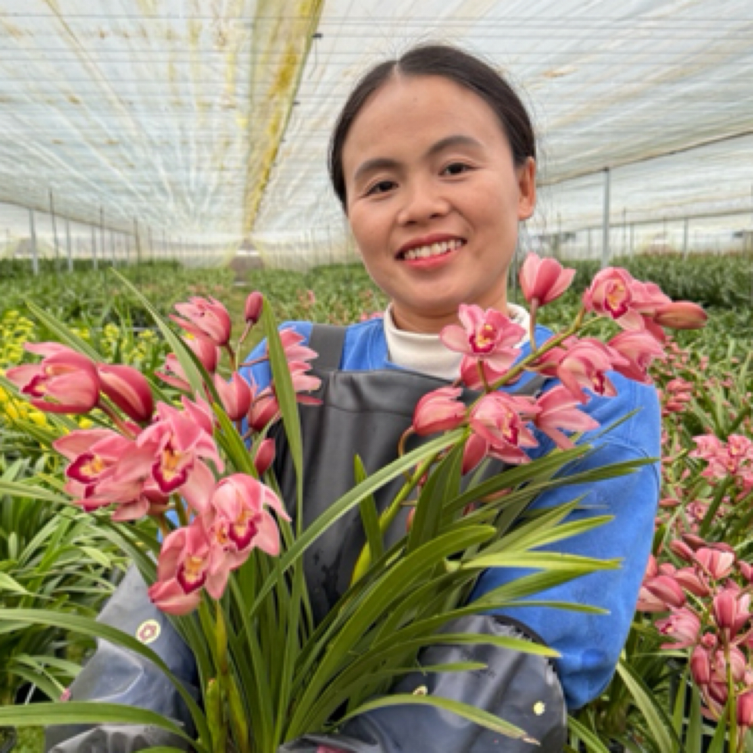 大花惠兰一物一拍带花剑发货品质好基地直发兰花