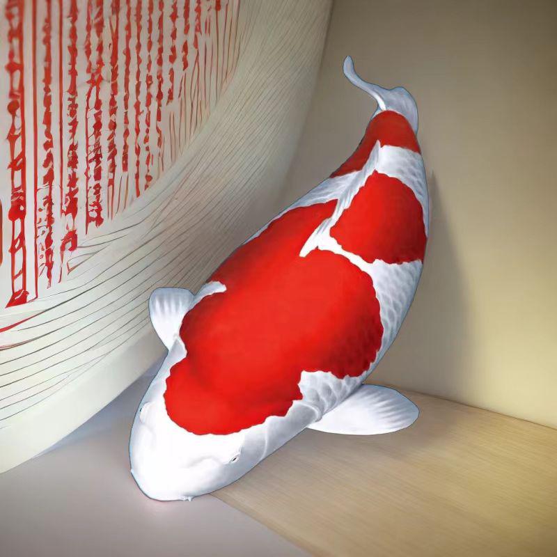 精品锦鲤活鱼日本纯种红白三色黄金招财观赏鱼公园庭院鱼池锦鲤鱼