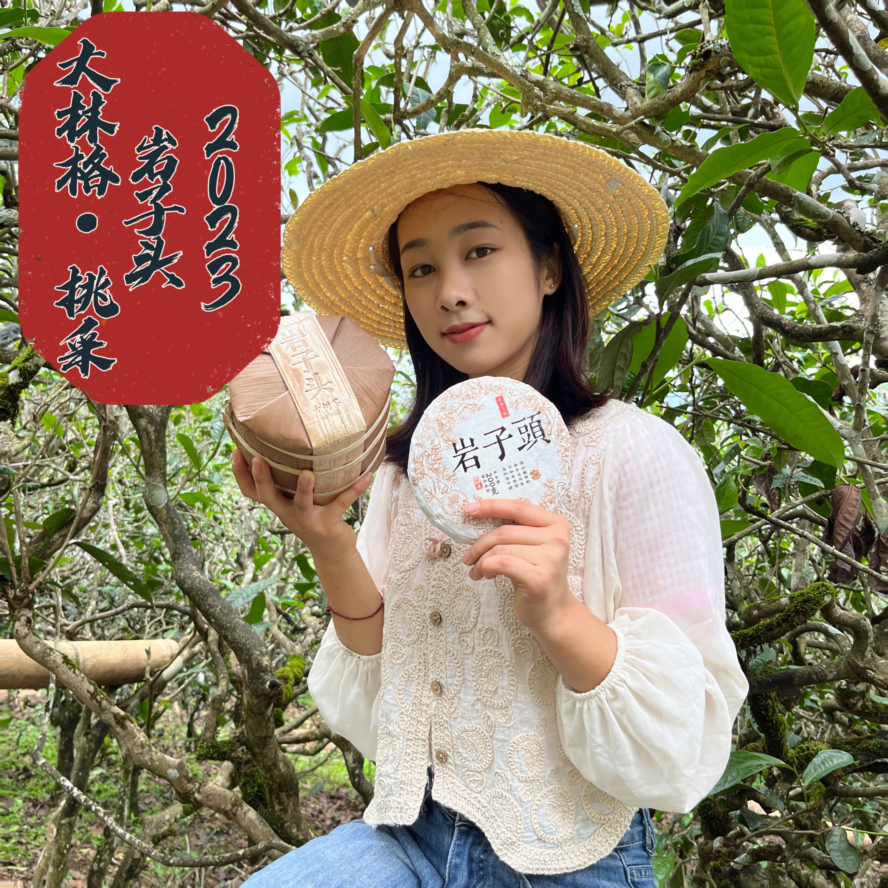 2023年【岩子头·卯兔年珍藏系列】岩子头大林格200年头春古树挑采