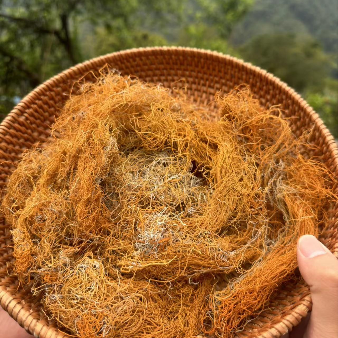 藏特美金丝红雪茶西藏高原营养深山采摘天然红雪茶熬夜/泡水