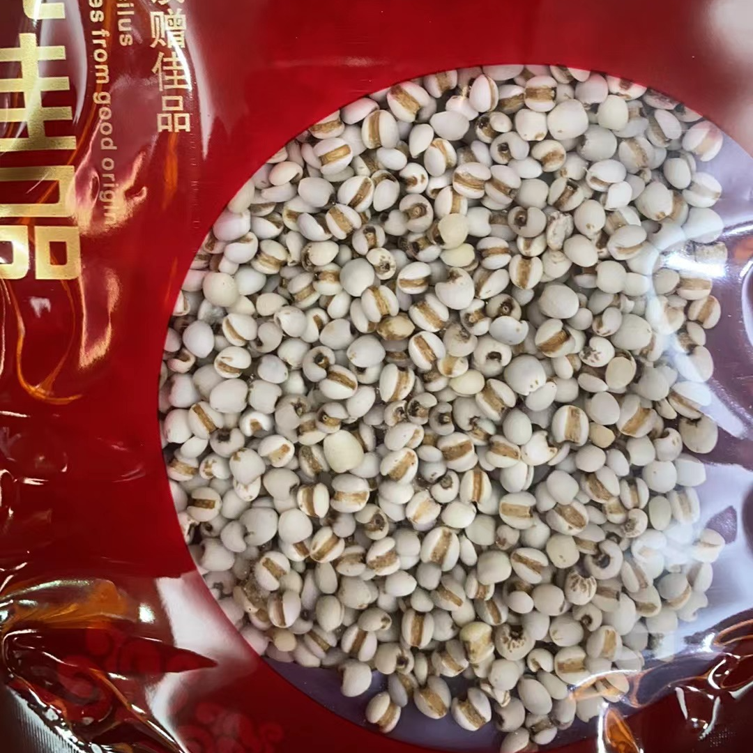正宗新鲜小薏米{基哥甄选鱼胶行}