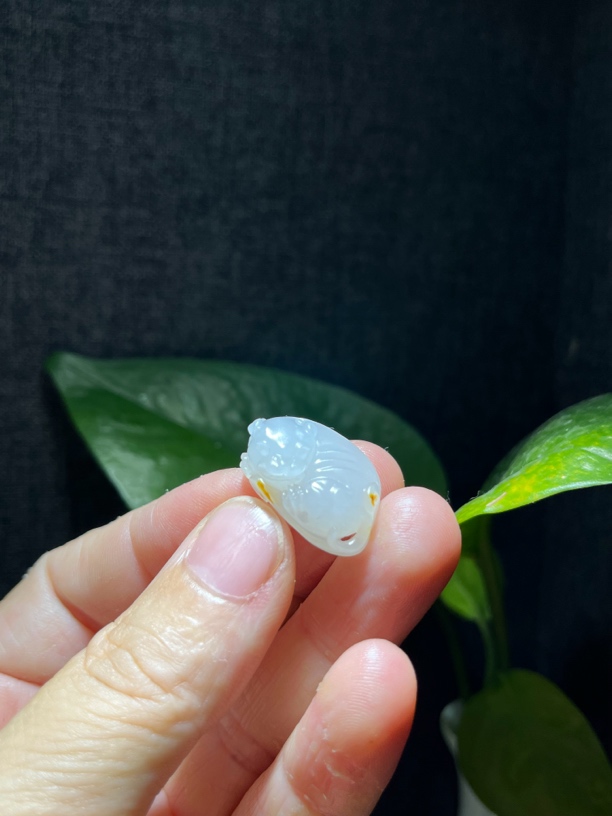 红皮貔貅 白度好玉质细腻