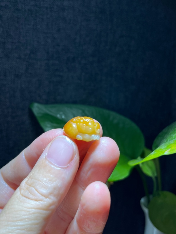 沁色独籽发财猪 