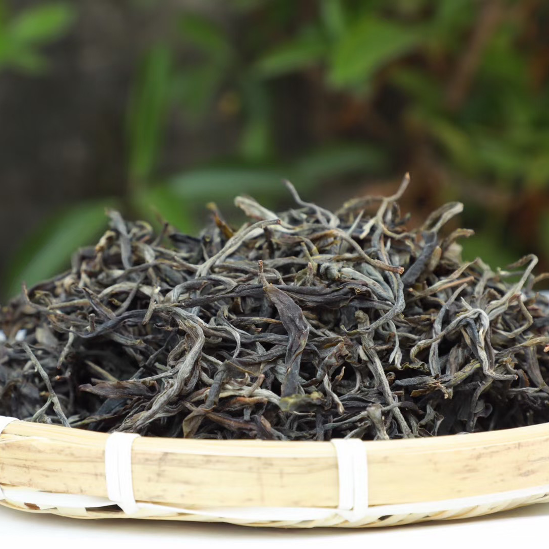 2023年千年二嘎子单株白茶散