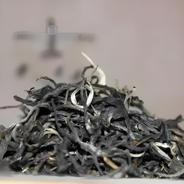 2024年【岩子头古树】普洱茶高货古树