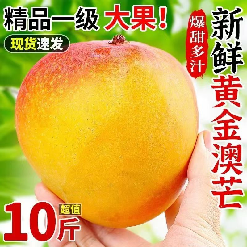 正宗澳芒大芒果带箱9-10斤左右应季新鲜超甜大芒果成熟香甜