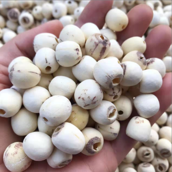 湘潭磨皮莲子  粉糯香