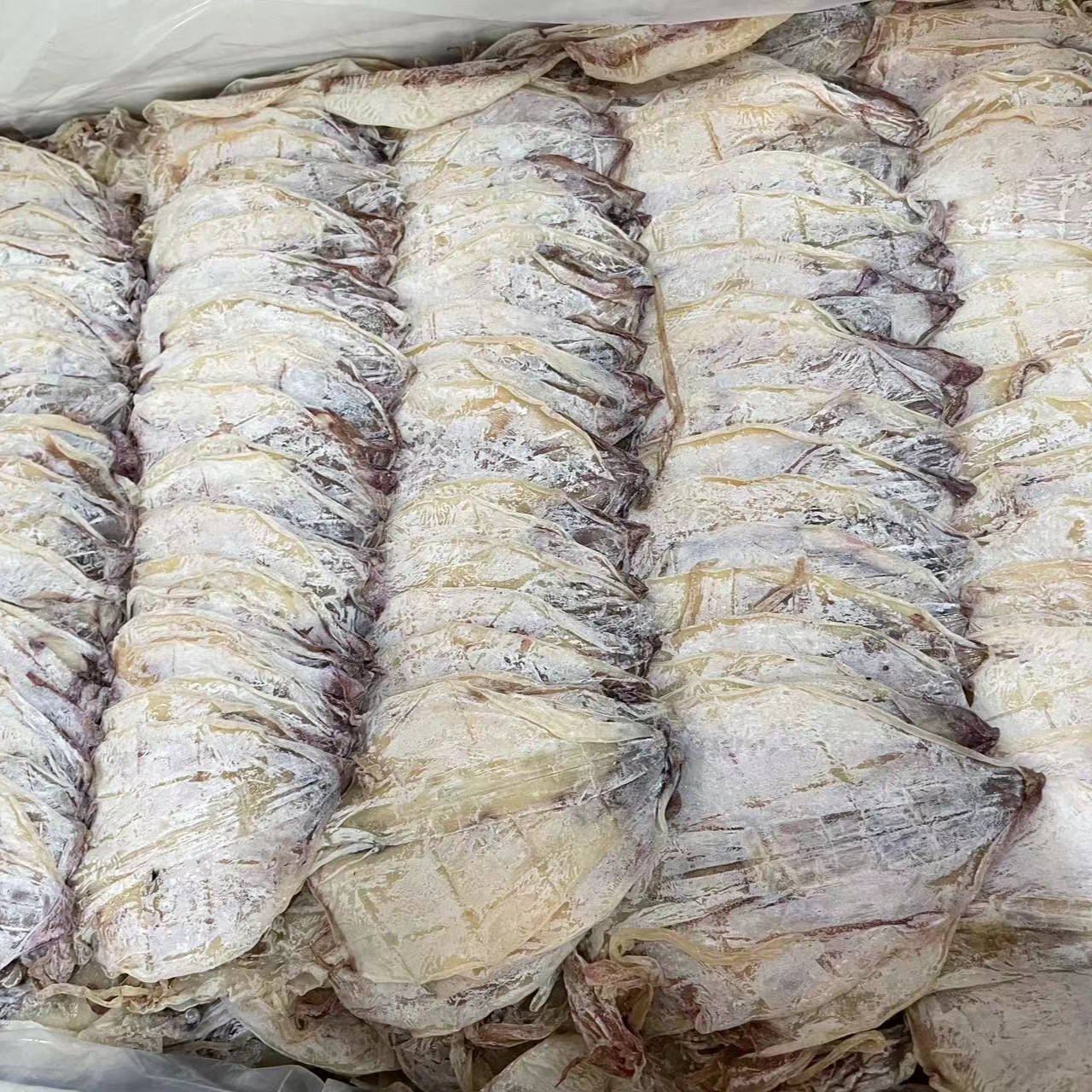 北海特产鱿鱼干香煎烧烤手撕桃胶胶