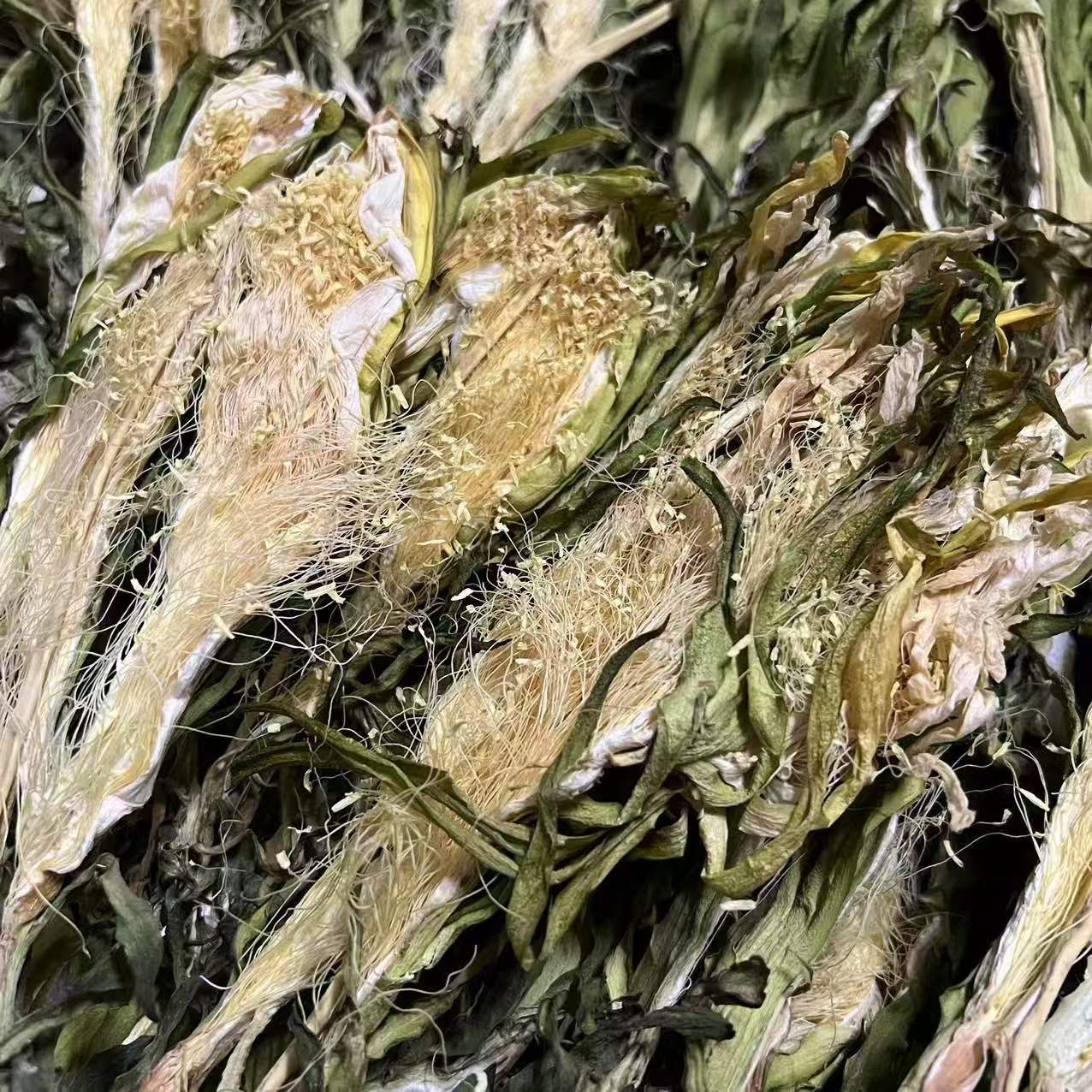 精选霸王花剑花（胶）