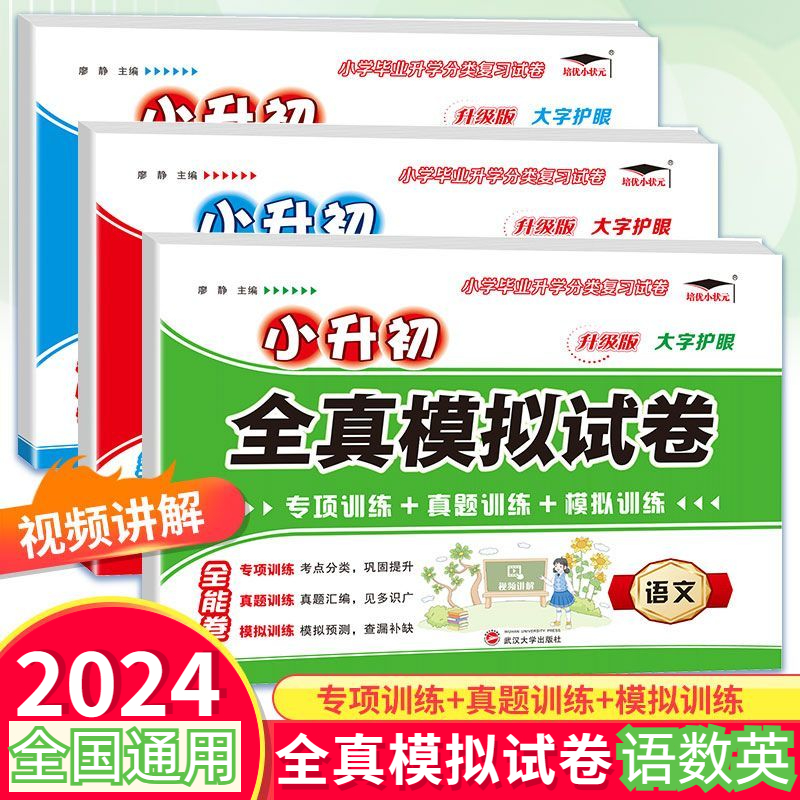 2024年小升初真题试卷人教版语文数学英语小学升学分类复习测试卷