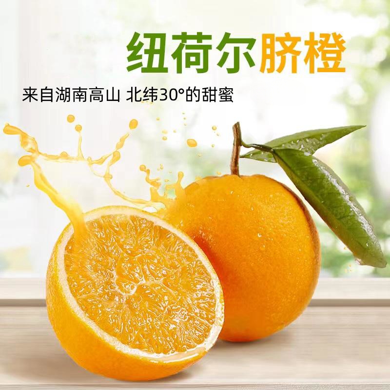 高山纽荷尔脐橙带箱10斤单果200-300g现摘现发坏果包赔16-23个果