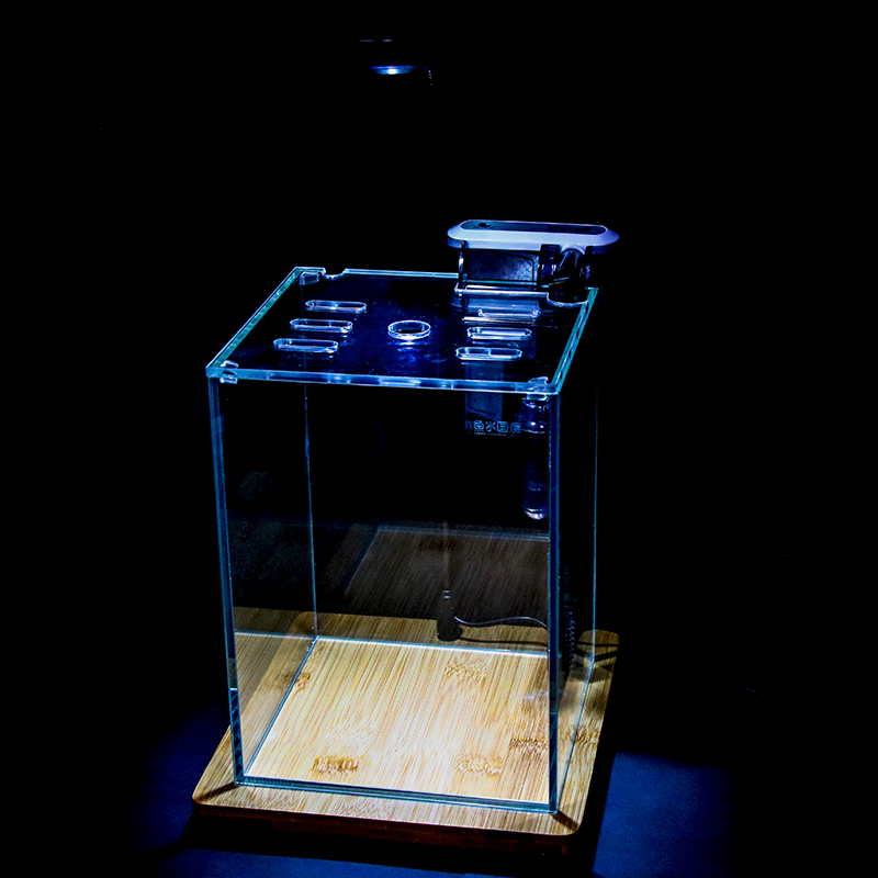 桌面生态鱼缸超白玻璃斗鱼专用缸斑马鱼水族箱创意造景透明小鱼缸