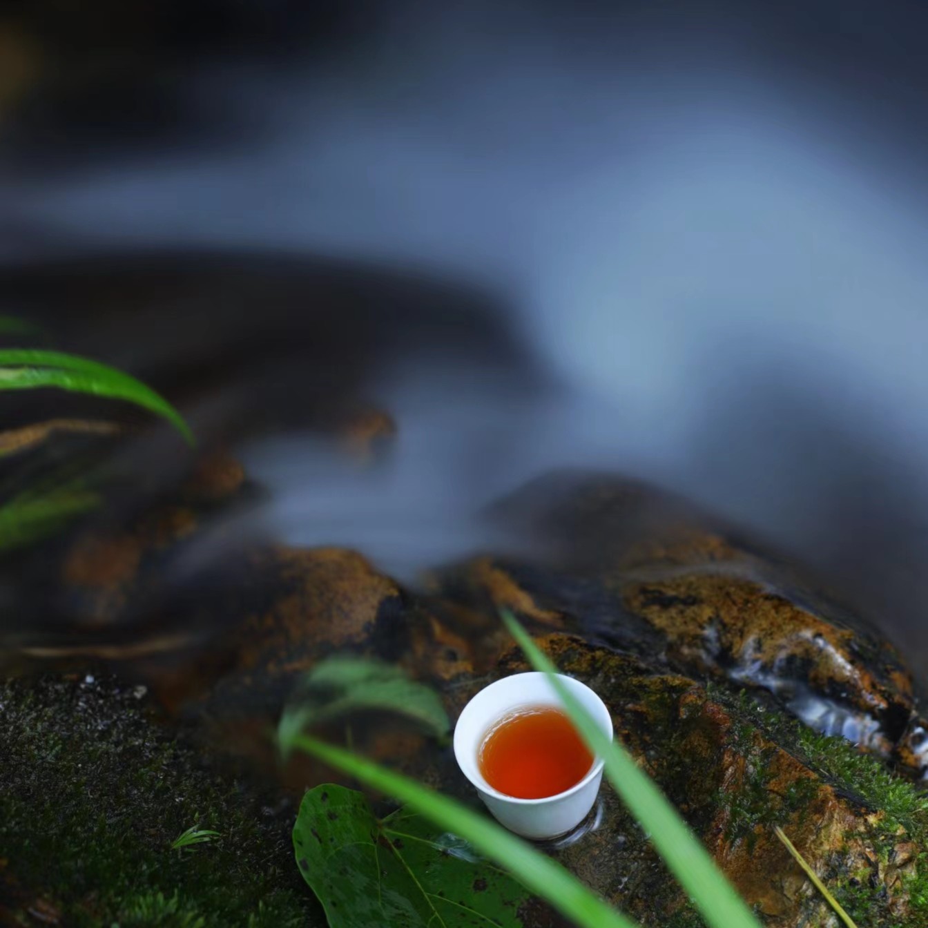 武夷岩茶组合链接（奇种）