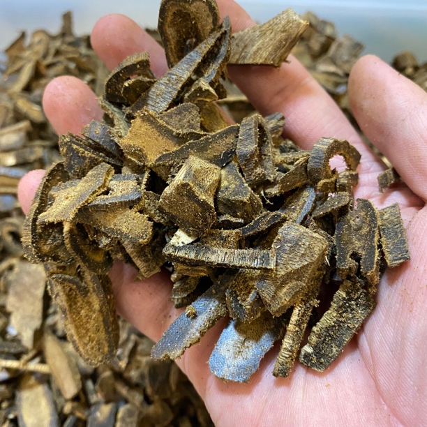 金沙叶品种车珠料原料50克熏香香料包邮