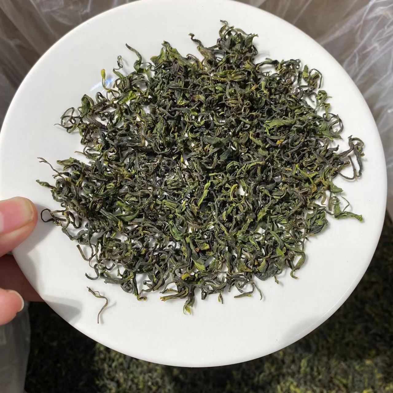 2025年新茶日照绿茶 绿茶茶叶 板栗香 耐冲泡