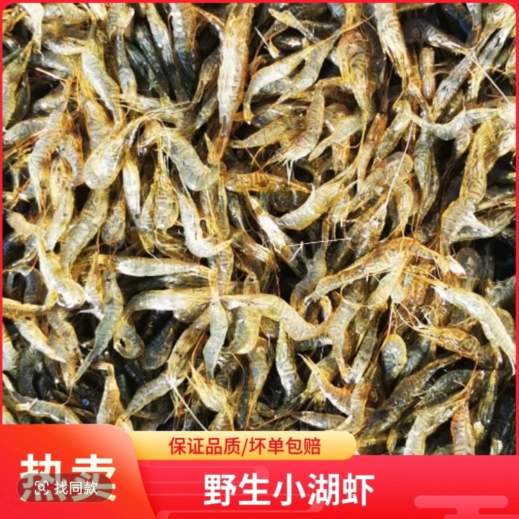 湖虾(小草虾)，怕小勿拍，