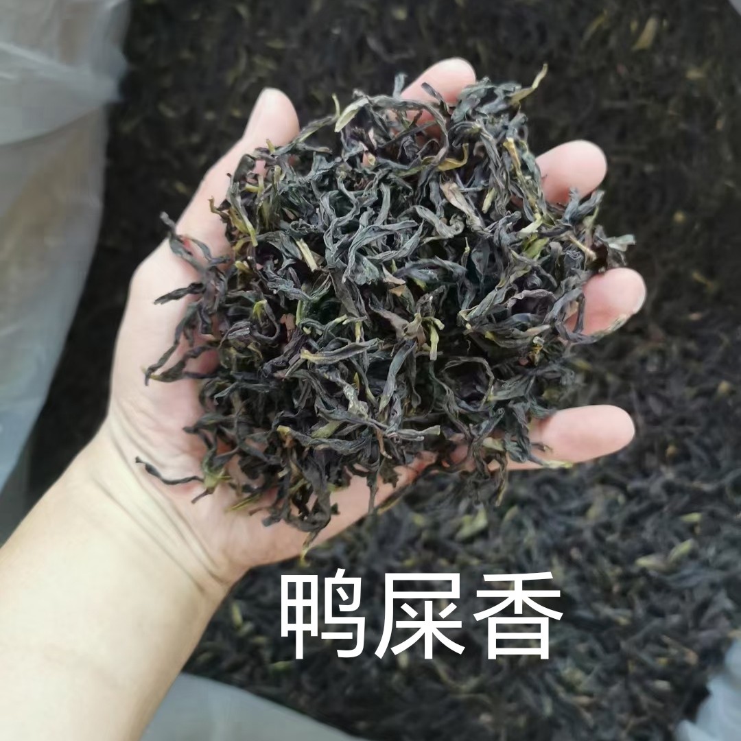 春茶鸭屎香高品质潮州凤凰单枞茶清香型乌龙茶单丛茶
