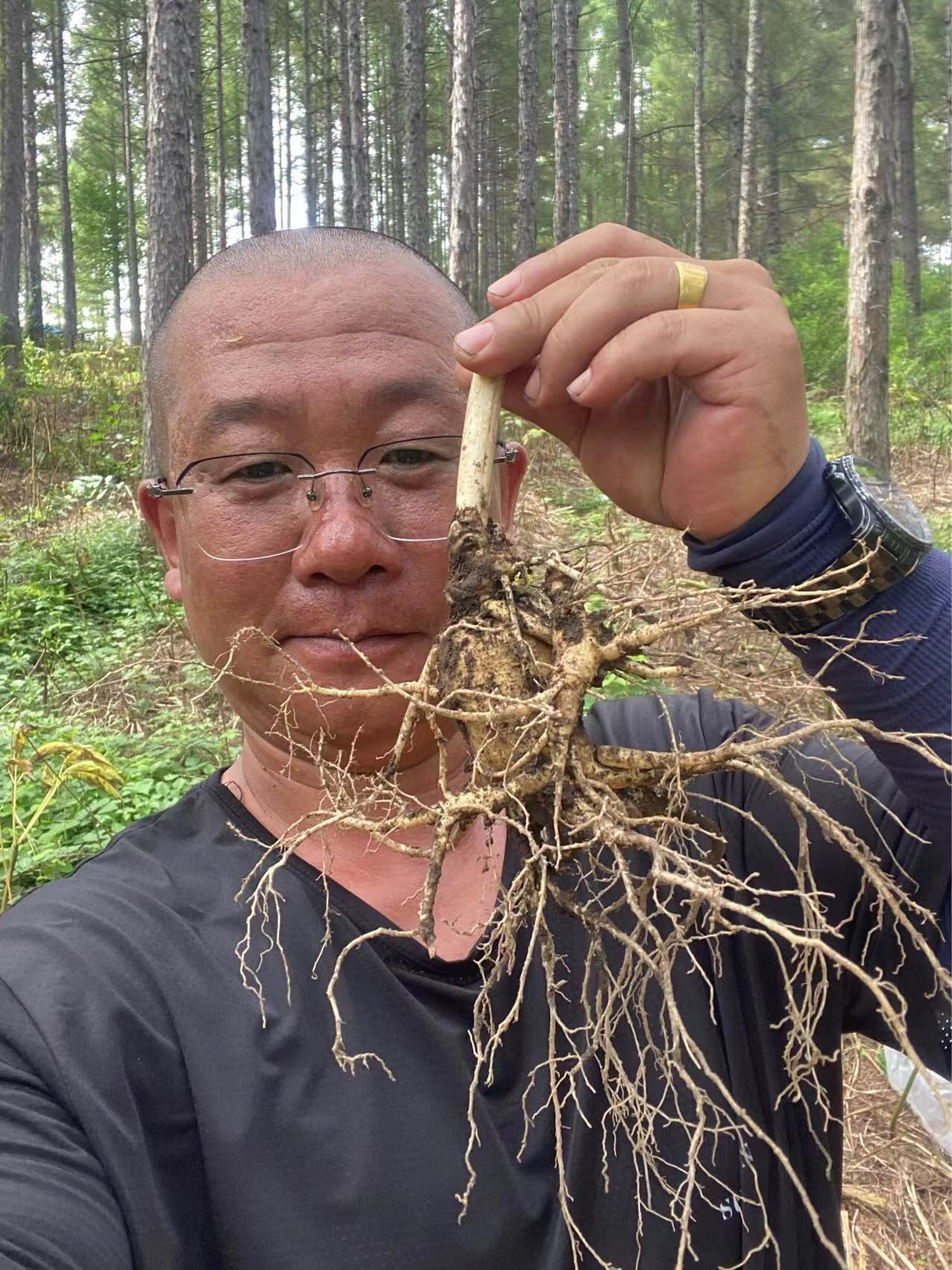 长白山林下参直播改价通用连接一物一拍