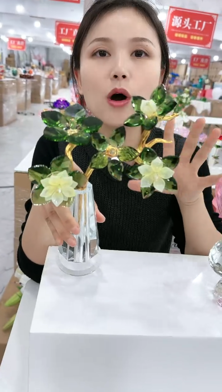 【闪购商品】华彩甄选—131