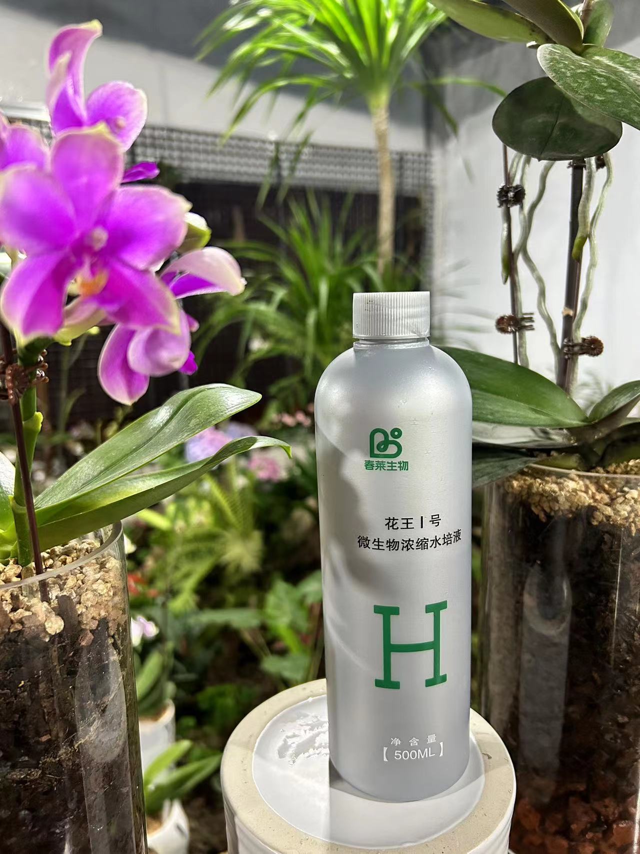 （余大爷）甄选 花王Ⅰ号微生物发酵水培植物营养液