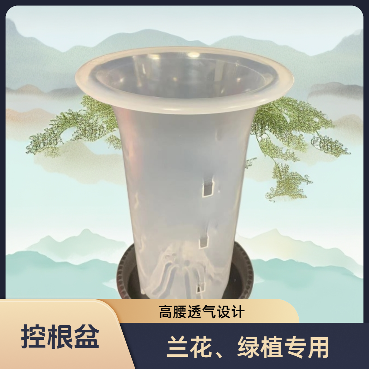 透明高腰控根盆蝴蝶兰观根种植透气塑料花盆兰花盆