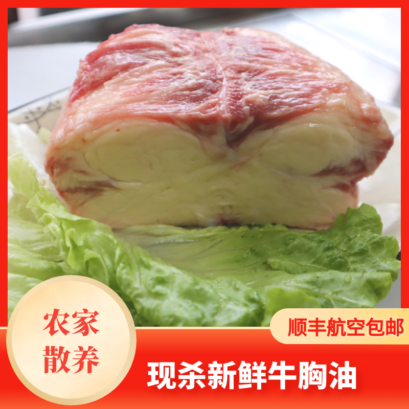 胸口捞2斤 肥美脆口奶香