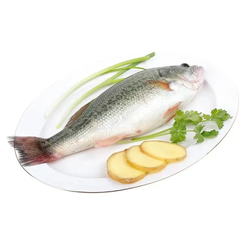 鲜活鲈鱼一条 约600g±50g 默认杀好（不改刀） 如需活鱼请备注 
