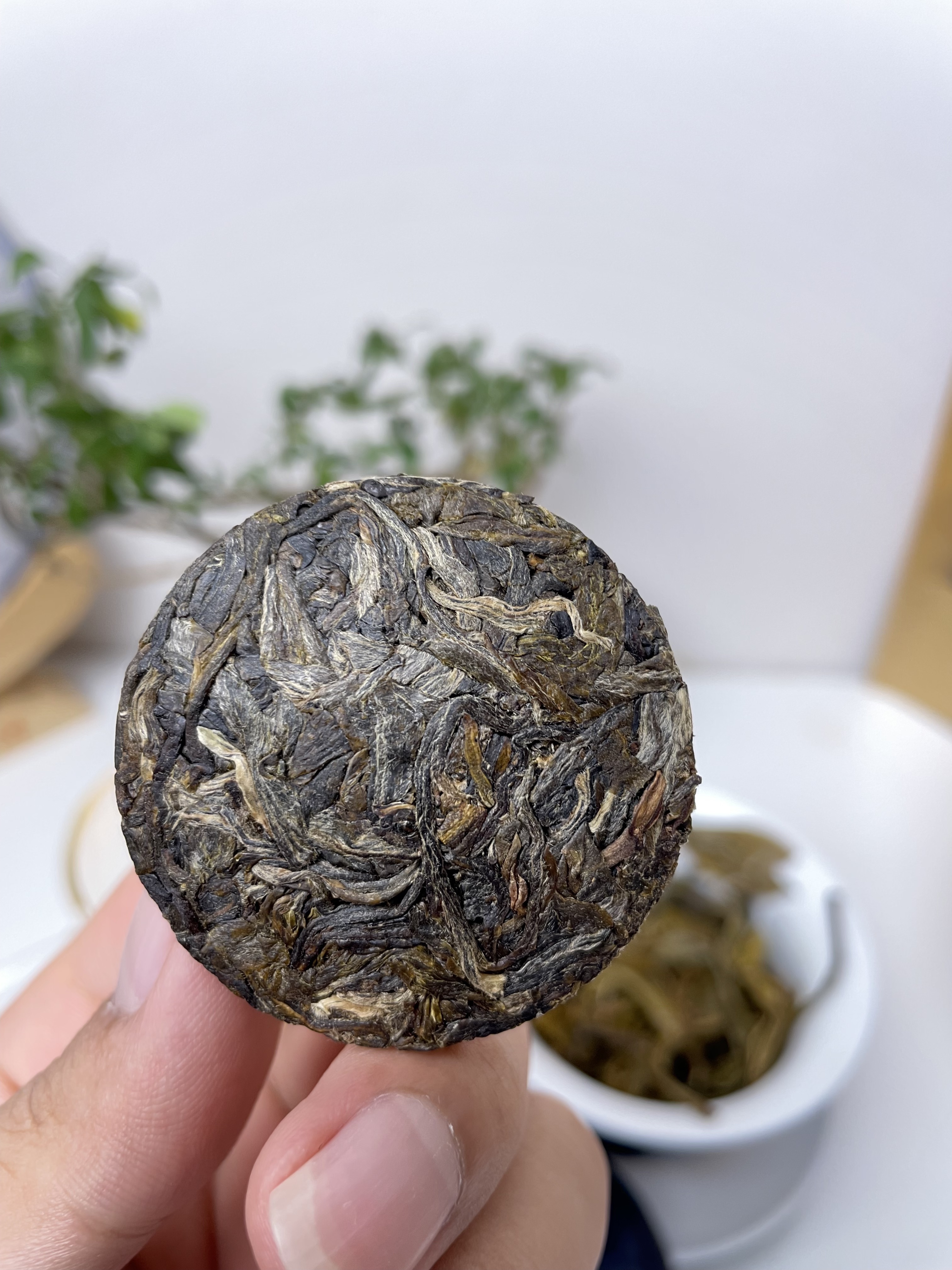 大雪山古树普洱茶【裸饼】