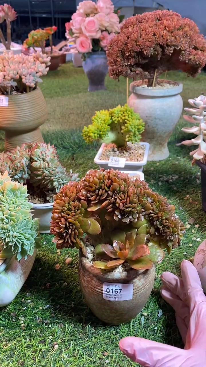 【闪购商品】0167