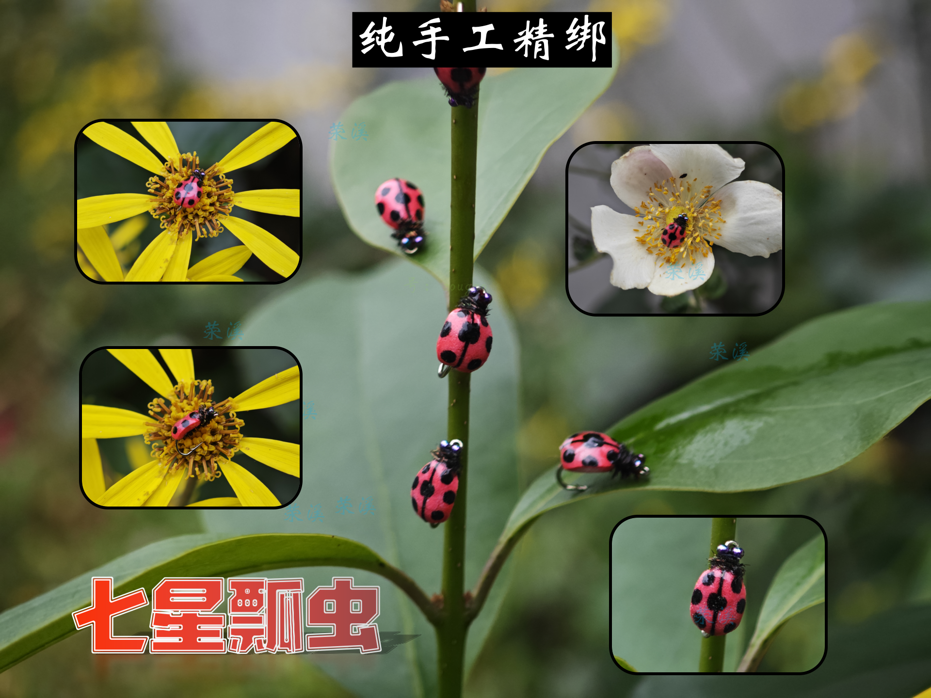 Q版七星小瓢虫浮水飞蝇钩、垂钓马口、桃花、罗非、大眼鳊、柳根、白条