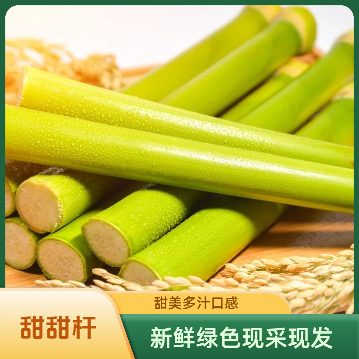 甜甜杆甜芦粟现采现发甜甜的童年味道甘甜多汁新鲜天然小时候味道
