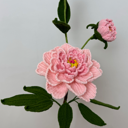 小小喵杨妃出浴芍药钩织教程