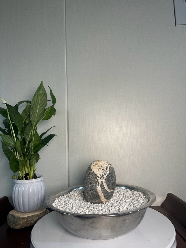 居家摆件 一物一价 图片仅供参考 实物以直播间为准 ，保真 价优 