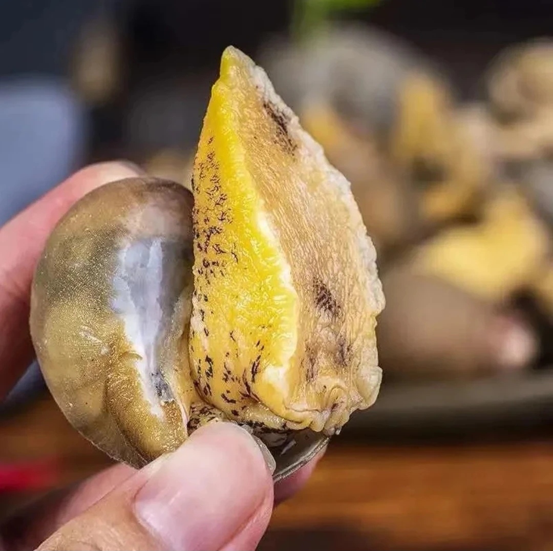大连发货 假鲍鱼（大小不均）顺丰发货