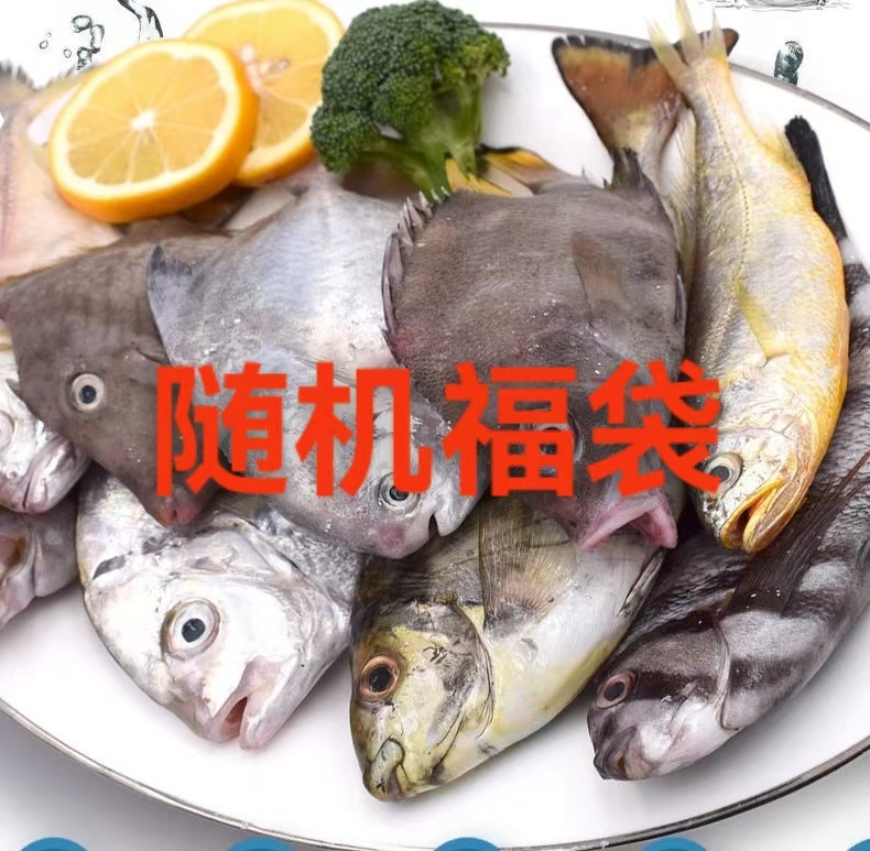 大连发货随机海鲜一份