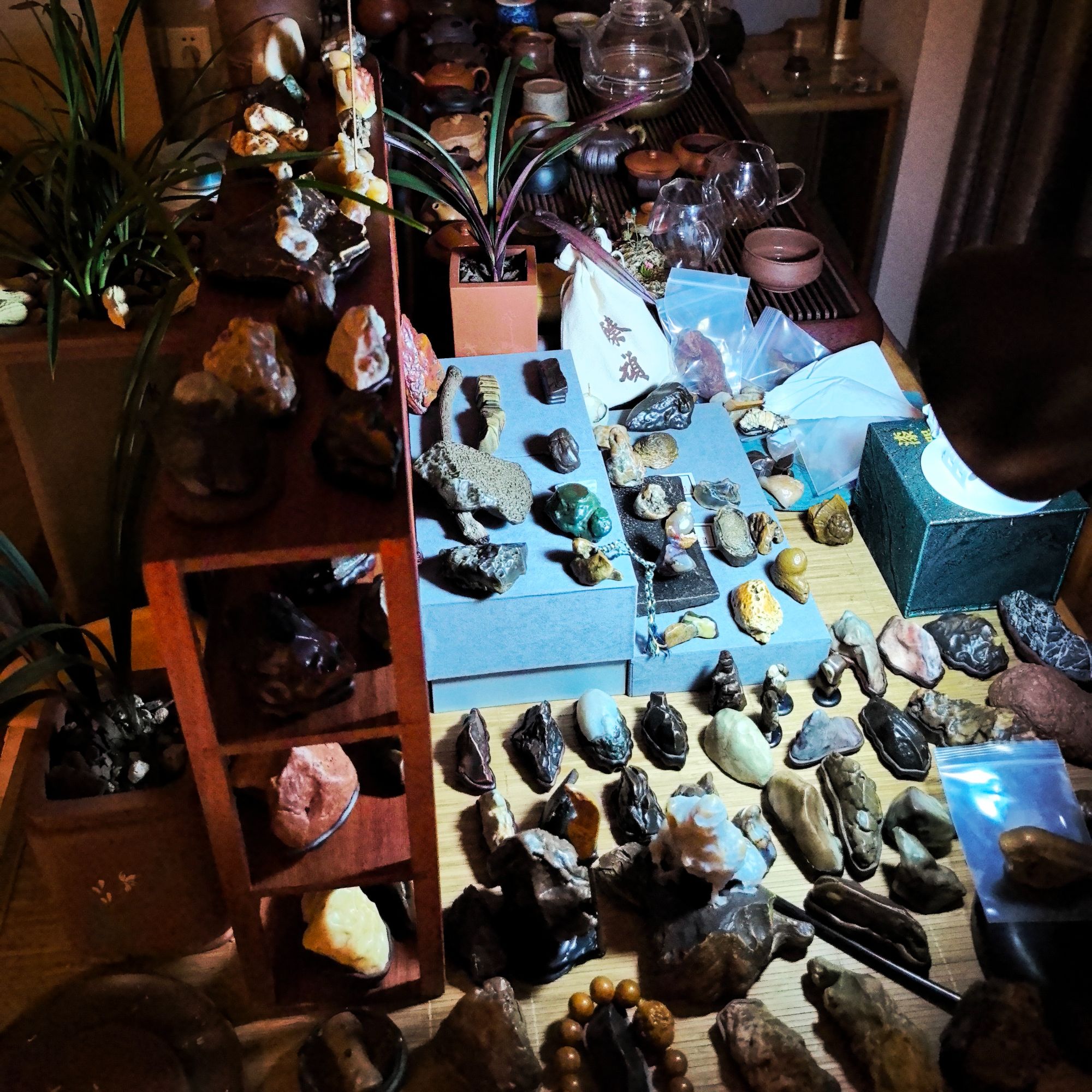 甄顽出品奇石甄选