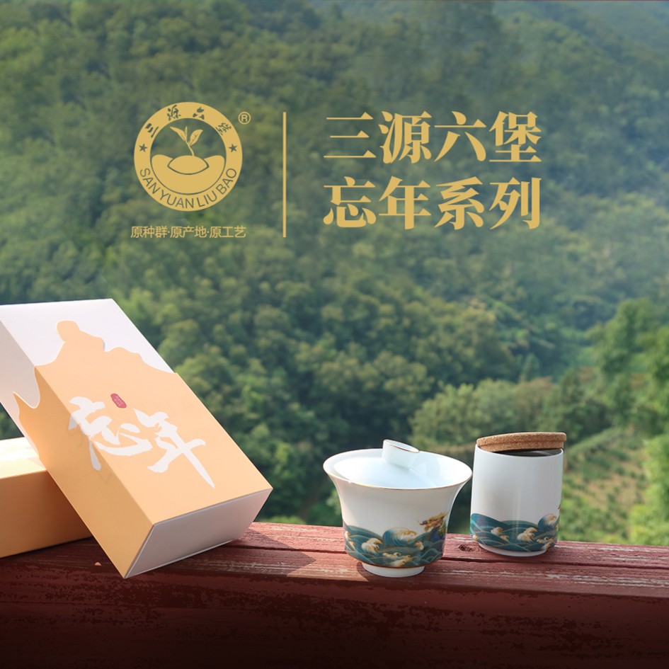 SANYUANLIUBAO/三源六堡忘年系列(六堡茶2012年明前茶-七星茶王）