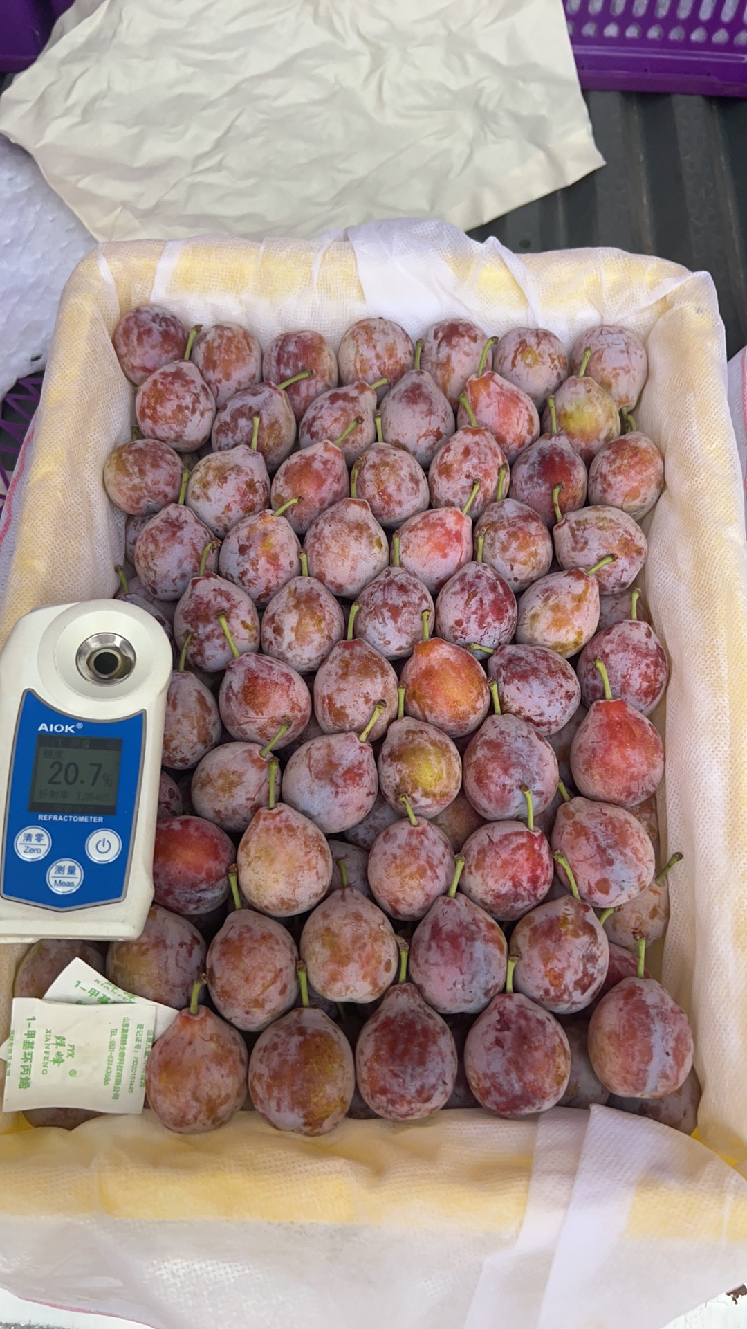 新疆西梅1000g一份