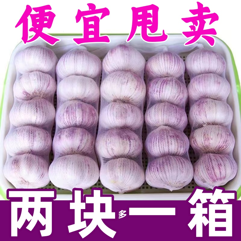 【福利冲刺】山东金乡新干大蒜头批发干蒜紫皮大蒜白皮干大蒜精品蒜