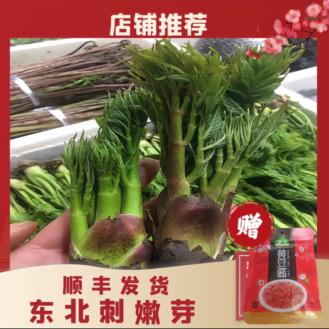 东北野生山野菜刺嫩芽多规格可选多拍更划算赠东北黄豆酱