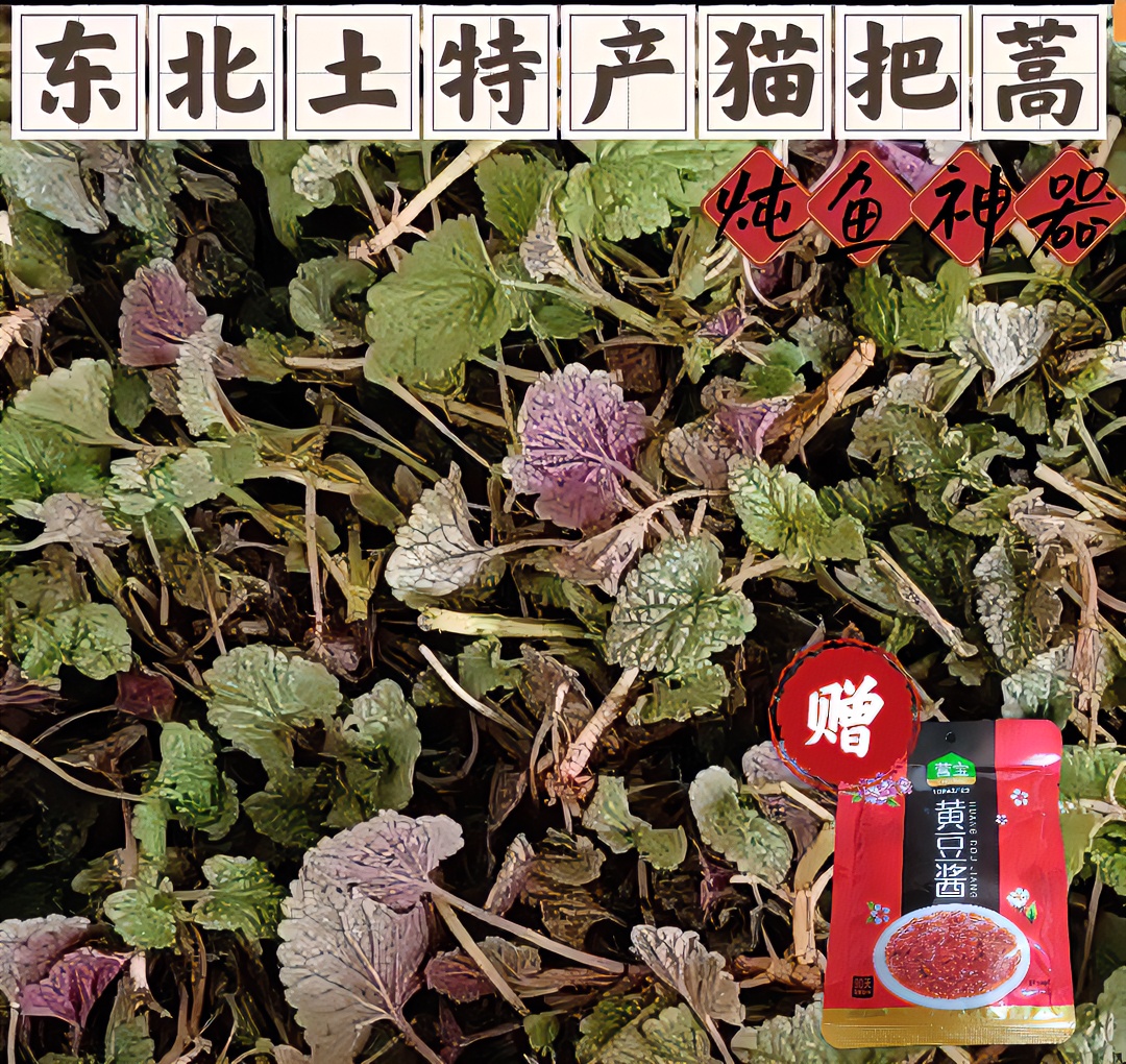 东北原生态山野菜冷冻发货猫把蒿2斤起多规格可选